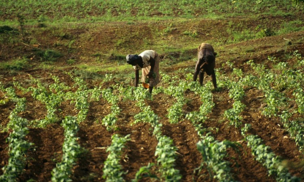 Le Centre Pénitentiaire Agricole de Baporo (CPAB),