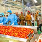 Burkina Faso : L’agro-industrie au cœur de la relance économique