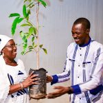 Burkina Faso : Valorisation des plantes médicinales, l’union des acteurs pour un avenir durable.