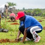 Togo  : Reboisement, 37 millions d’arbres à planter à l’horizon 2030 pour un engagement effectif contre le réchauffement climatique.