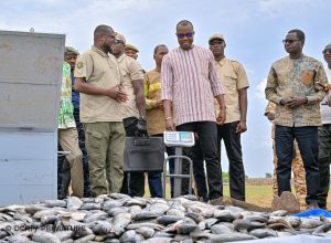 Rimtalba Jean Emmanuel Ouédraogo